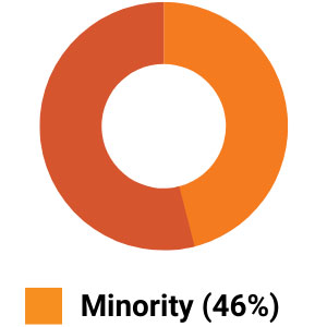 wd-minority Race + Ethnicity